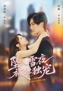 坠入雪夜，被他独宠——电影中文
